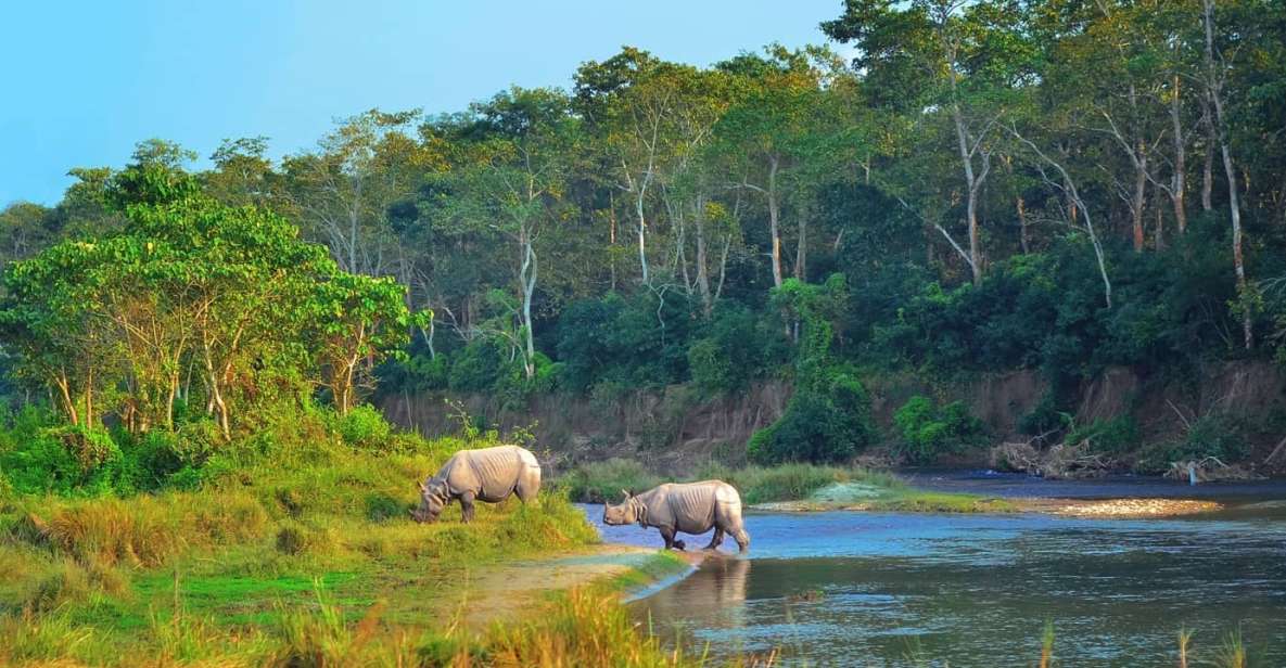 From Pokhara: Private 3-Day Chitwan Jungle Safari Tour - Experience Highlights