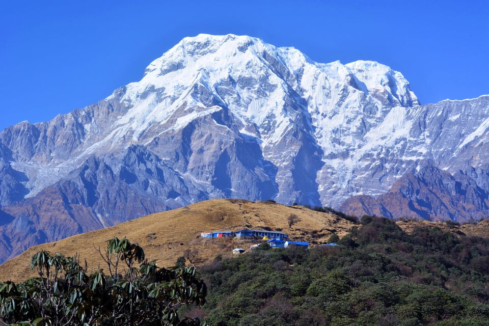 Pokhara: 3-Day Mardi Himal Private Himalayas Trek - Trekking Route and Terrain Information