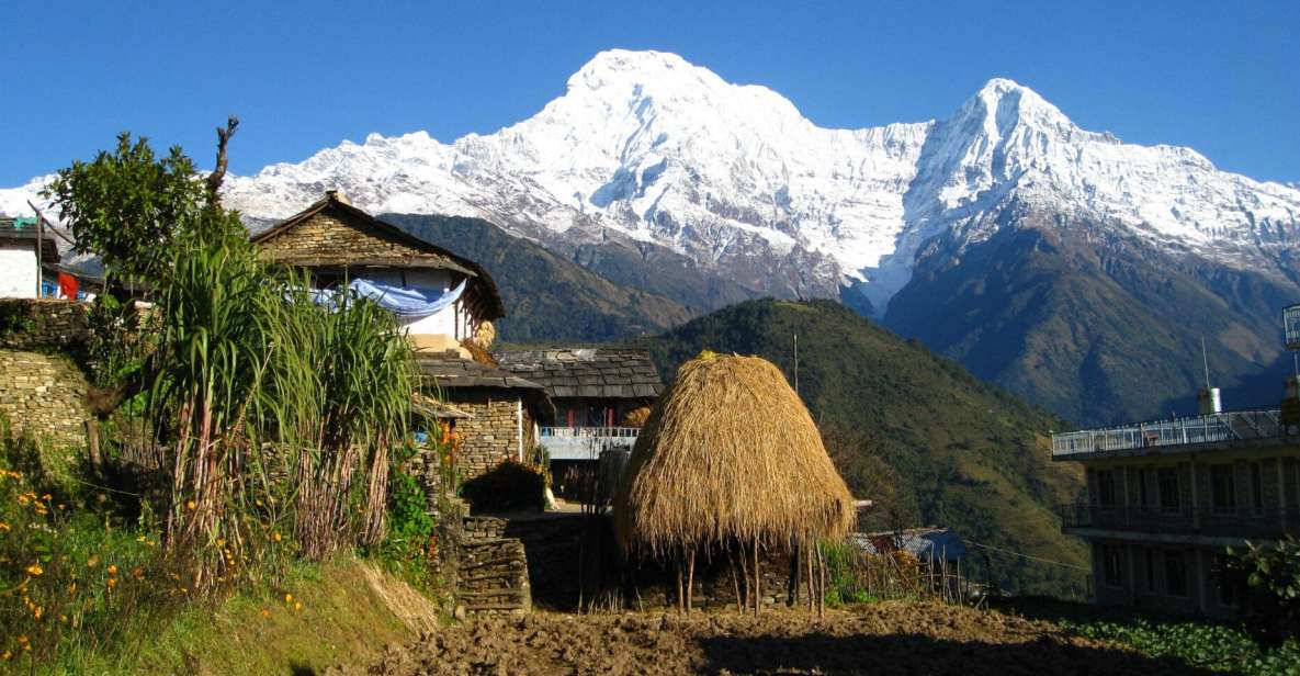 Pokhara: Guided Tour to Visit 5 Himalayas View Point - Tour Overview