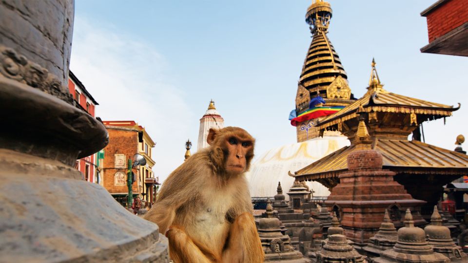 Kathmandu : Swambhunath & Durbar Square Guided Half Day Tour - Architectural and Spiritual Exploration