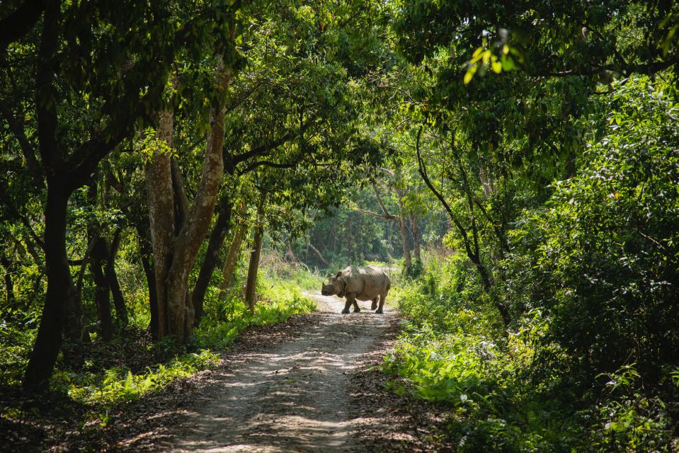 From Kathmandu/Pokhara: Private 3-Day Chitwan Safari Tour - Tour Details and Logistics