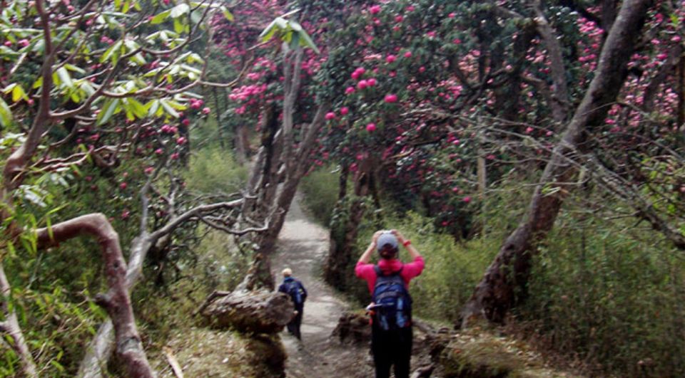 Private Shivapuri Day Hiking From Kathmandu - Additional Information