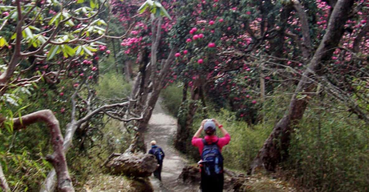 Private Shivapuri Day Hiking From Kathmandu - Activity Details