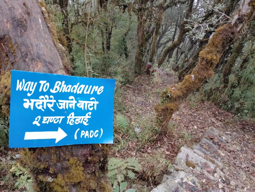 1 Night 2 Day Panchase Trek From Pokhara - Experience Highlights of the Trek