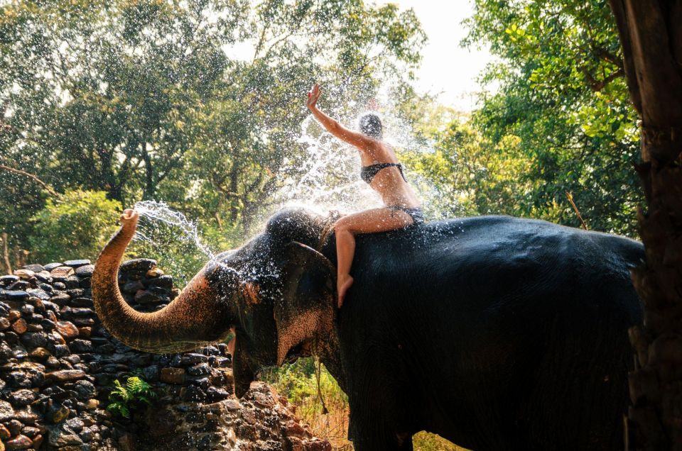 Chitwan Jungle Safari With Elephant Bath (Exclusive Tour) - Booking Information and Logistics