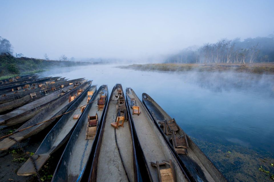 Chitwan Jungle Safari With Elephant Bath (Exclusive Tour) - Activities and Sightseeing