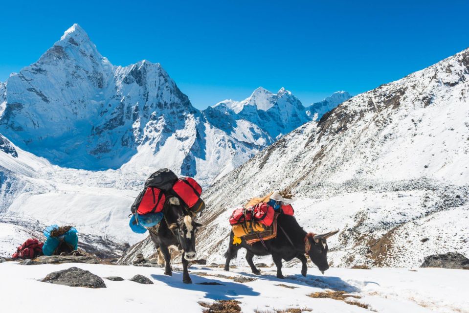 Everest Base Camp Trek With Gokyo Lakes - 16-Day Adventure - Itinerary Highlights