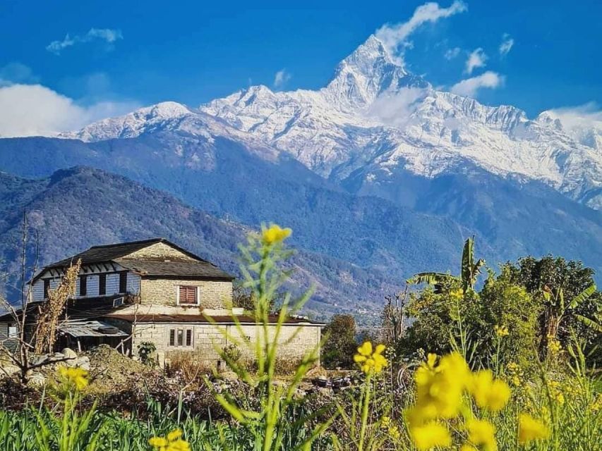 Epic Mardi Himal Trek - 4 Days From Pokhara - Trek Highlights