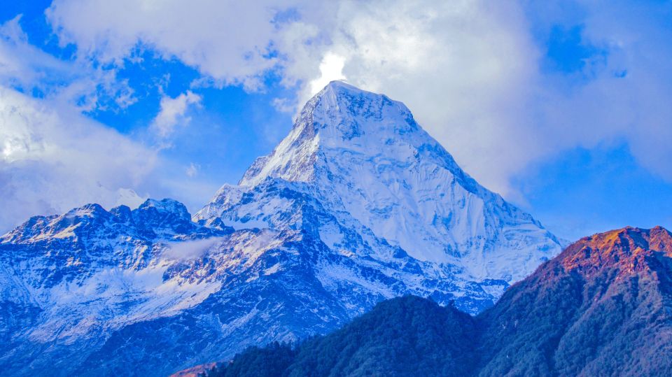 Pokhara: 7-Day Annapurna Base Camp Guided Trek - Live Tour Guides and Language Options