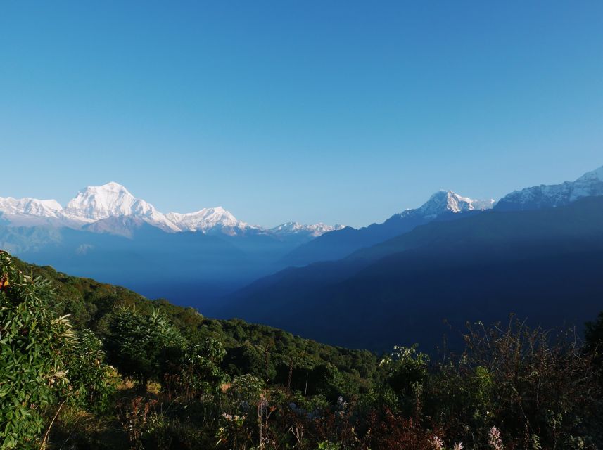 Pokhara: 2-Day Short & Sweet Ghorepani Poon Hill Guided Trek - Experience Highlights