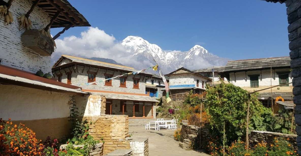 Pokhara: 9-Day PoonHill & Annapurna Himalayan Basecamp Trek - Experience and Highlights Overview
