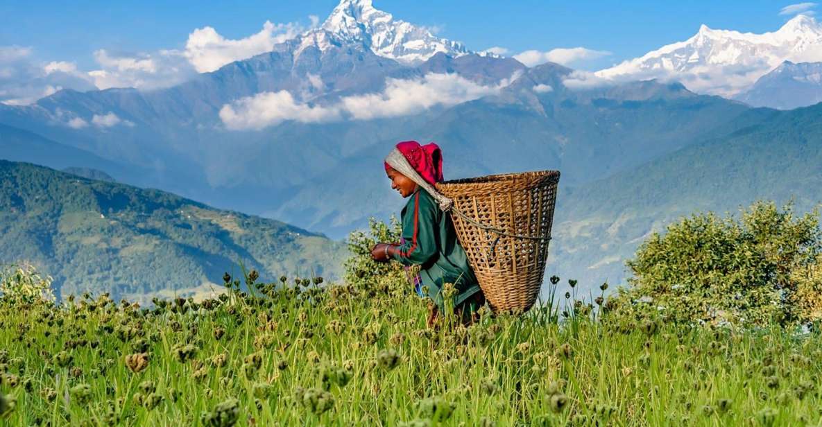 Pokhara: Dhampus Village Guided Day Tour - Lap on Mountain - Tour Duration and Guide Details