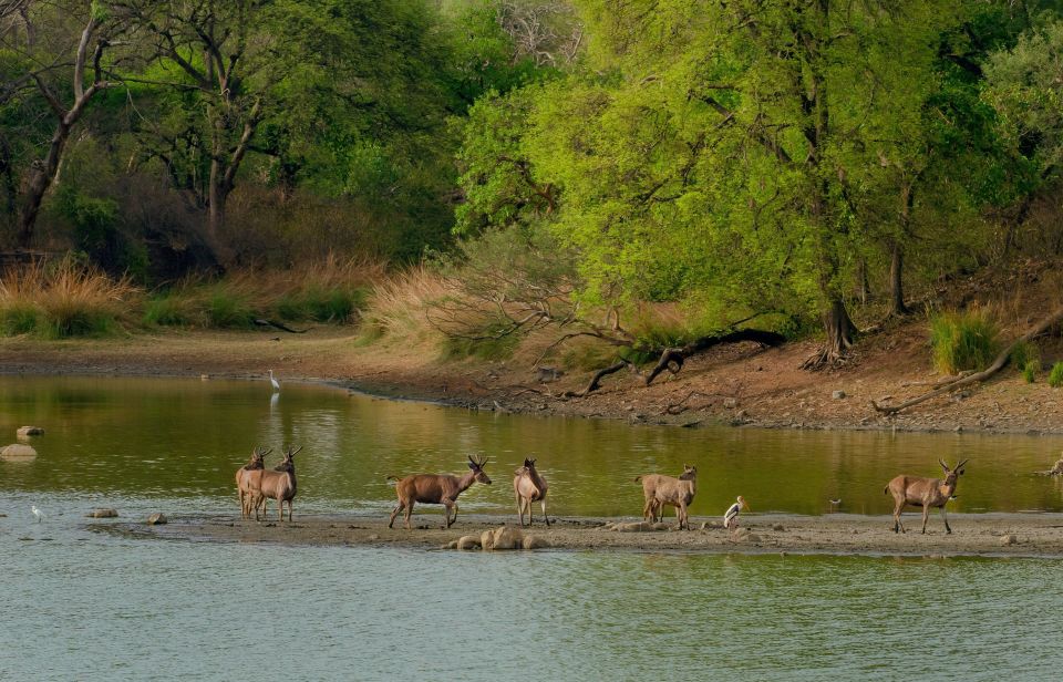 Kathmandu: 3-Day Wildlife, Culture and Jungle Safari Tour - Experience Highlights