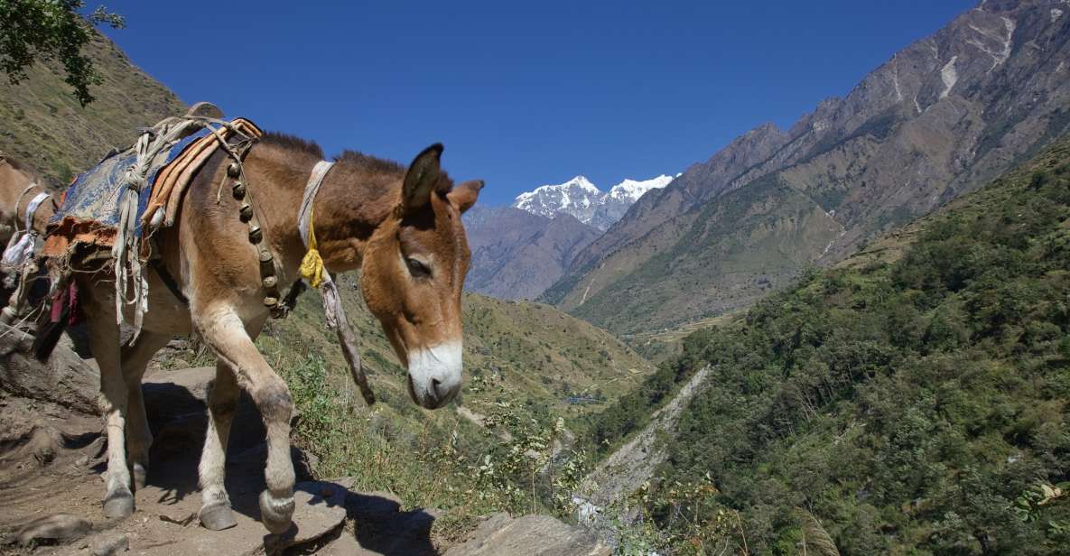 Kathmandu: 15-Day Mountainous Manaslu Circuit Trek - Drive to Machhe Khola