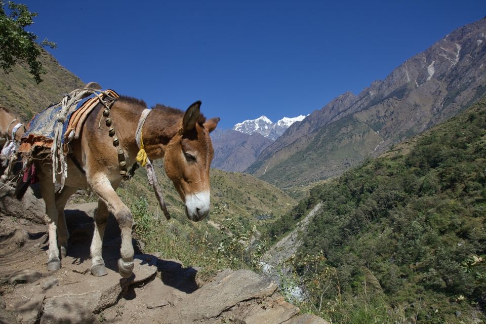 Kathmandu: 15-Day Mountainous Manaslu Circuit Trek - Trekking Preparation Day