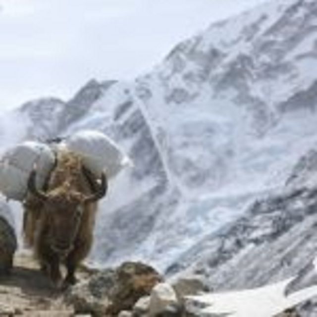 Everest Base Camp - Experience Highlights
