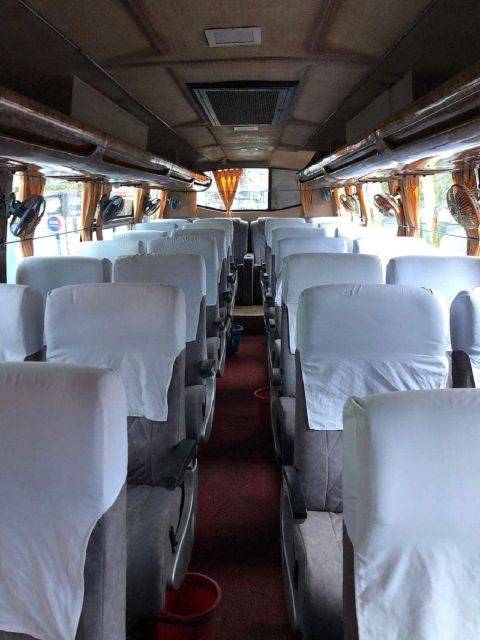 Tourist Bus Ticket Pokhara to Chitwan - Experience and Activities