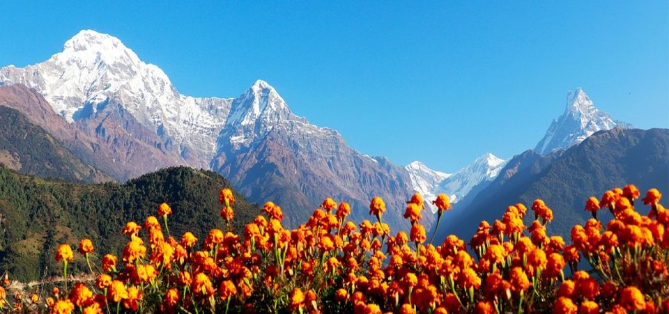 From Pokhara: 5-Day Poon-Hill & Ghandruk Himalayas Trek Tour - Cultural Immersion Highlights