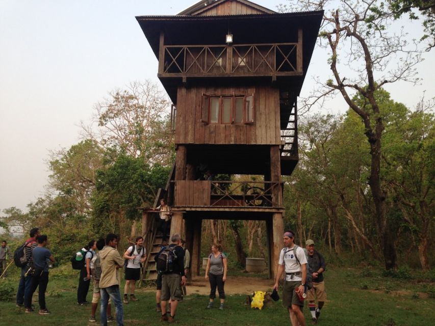 Chitwan Jungle Safari With National Park Tower Night Stay - Experience Description
