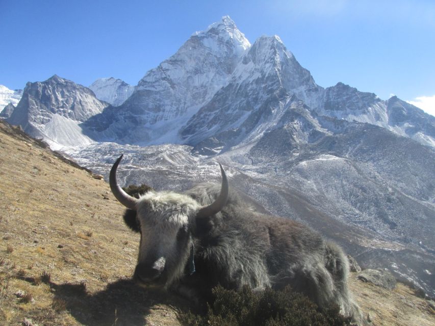 Everest Helicopter Tour 1 Day - Experience Highlights