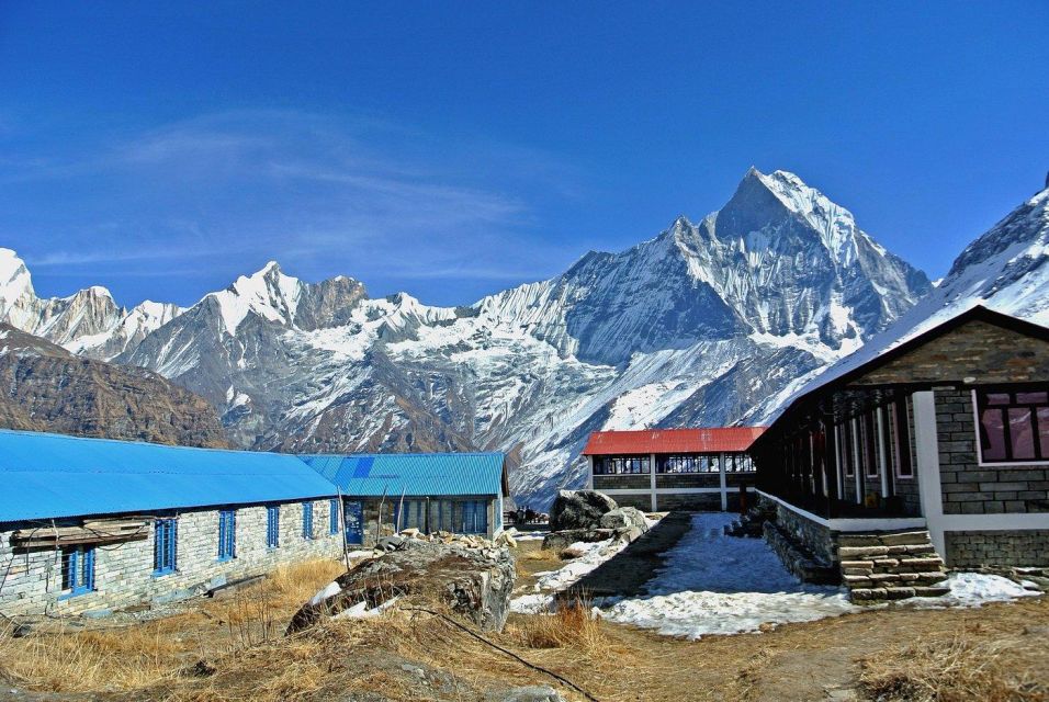 Pokhara: 5 Day Annapurna Base Camp Trek - Trek Overview