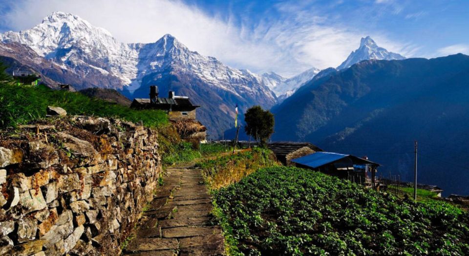 Pokhara: 3 Days Panchase Trek - Flora, Fauna, and Local Encounters