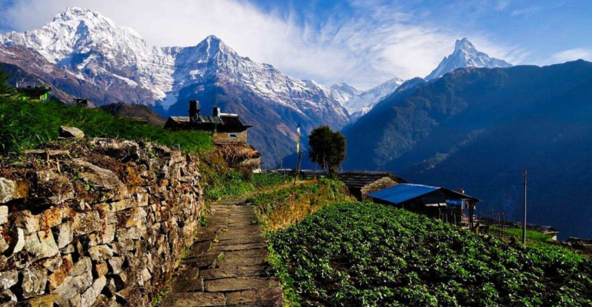 Pokhara: 3 Days Panchase Trek - Itinerary and Pickup Details