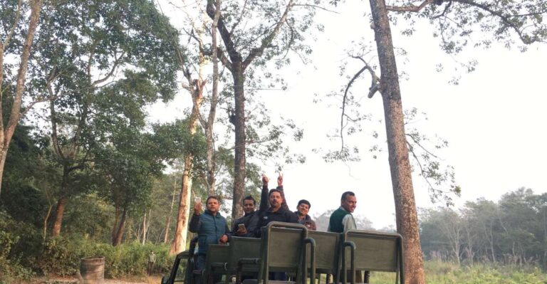 From Chitwan: Full Day Jeep Safari in Chitwan National Park
