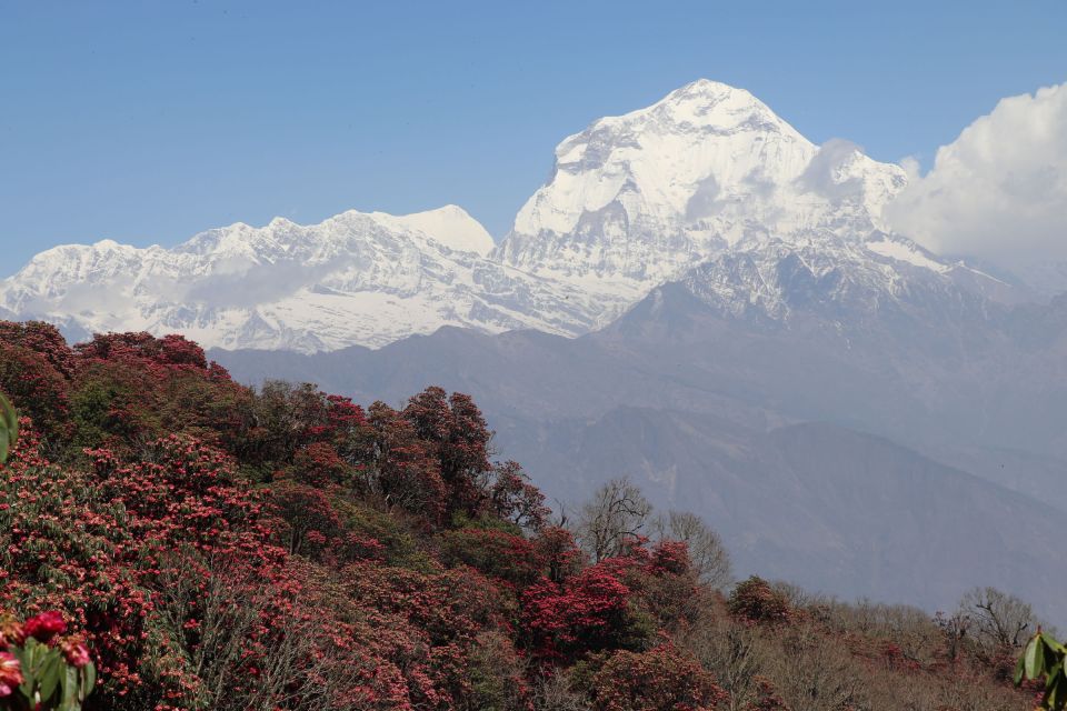 20 Days Dhaulagiri Circuit Trek From Kathmandu - Detailed Itinerary Overview