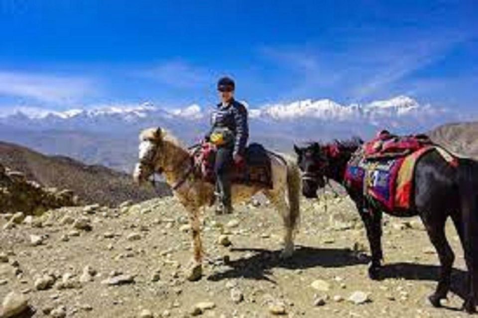 Saddle Up for a 1-Hour Horseback Riding Adventure in Pokhara - Activity Details