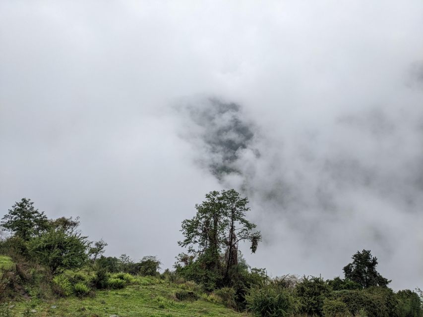 From Pokhara: 3 Days Poon Hill Trek - Tips for a Successful Trek