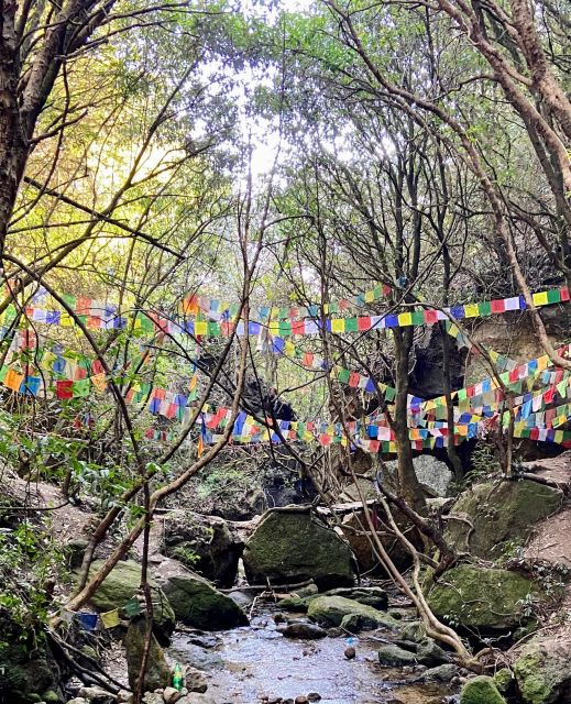 Kathmandu: Shivapuri National Park Day Hiking Adventure
