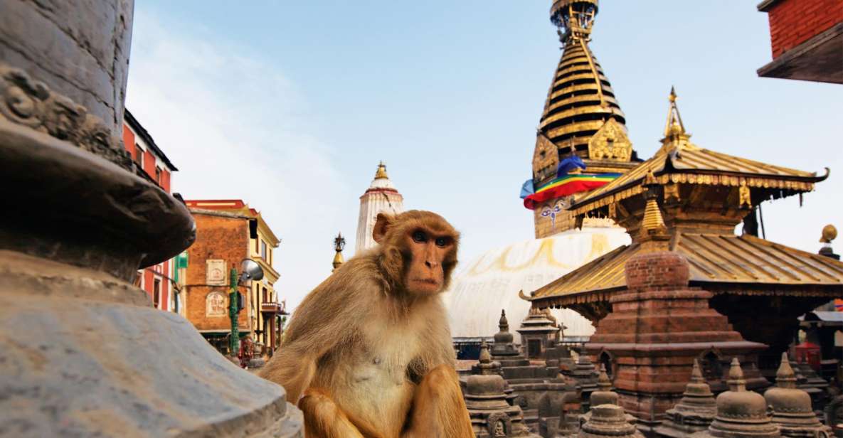Exploring Kathmandu:Private Chandragiri & Swayambhunath Tour - Booking and Logistics Information